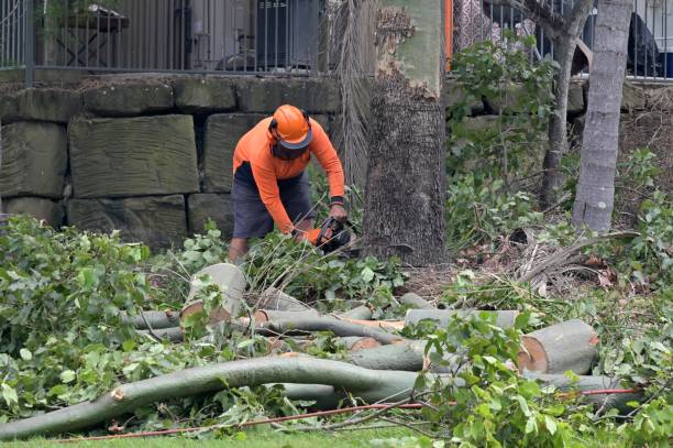 Seasonal Cleanup (Spring/Fall) in Coos Bay, OR